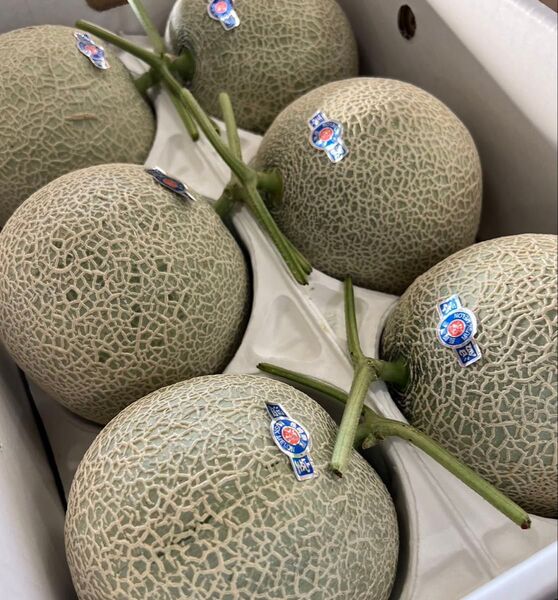 果物 フルーツ メロン アールスメロン 青肉 小玉 7kg