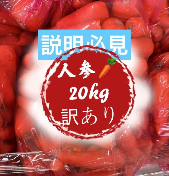 【2箱セット】安い!野菜 人参 20kg 超訳あり 業務用