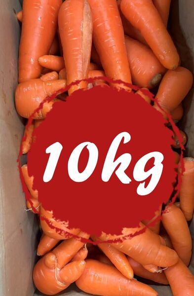 安い!野菜 人参 10kg 超訳あり 業務用