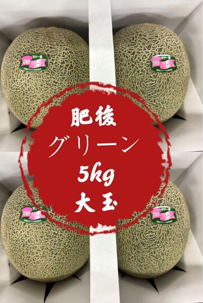 【贈答用も】果物 フルーツ メロン 肥後グリーンメロン お得 甘さ 5kg