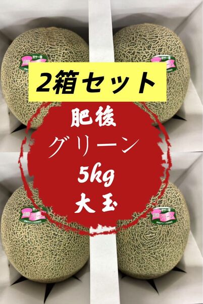 【贈答用も】果物 フルーツ メロン 肥後グリーンメロン お得 甘さ 2箱セット