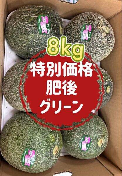 果物 フルーツ メロン 肥後グリーンメロン お得 甘さ 8kg