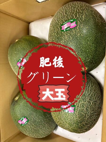 【大玉】果物 フルーツ メロン 肥後グリーンメロン 甘さ 8kg