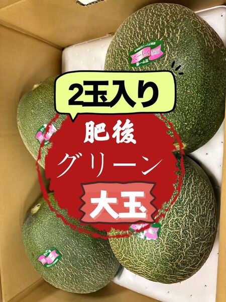 【大玉】果物 フルーツ メロン 肥後グリーンメロン 贈答 ギフト 甘さ 2玉