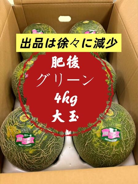 【秀品】果物 フルーツ メロン 肥後グリーンメロン 大玉 甘さ 2玉