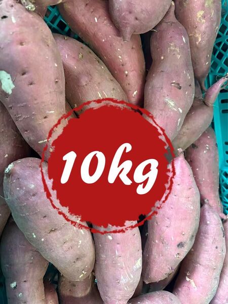 野菜 さつまいも 紅はるか 10kg