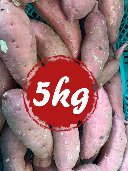 野菜 さつまいも 紅はるか 5kg