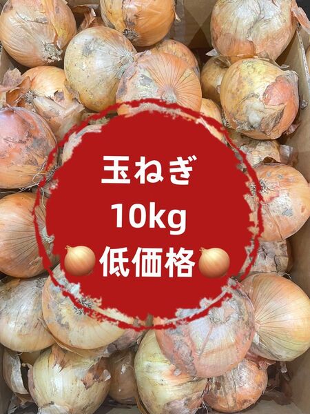 【初売りセール】玉ねぎ タマネギ 10kg 訳あり 業務用 お買い得 格安