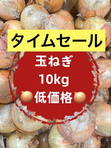 【初売りセール】玉ねぎ タマネギ 10kg 訳あり 業務用 お買い得 格安