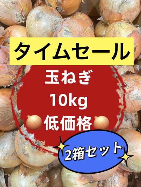 【2箱セット】玉ねぎ タマネギ 20kg 訳あり 業務用 お買い得 格安