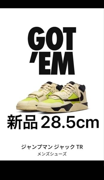 TravisScott NIke Jordan Jumpman Jack TRCJ1 T-Rexx Bright Cactus