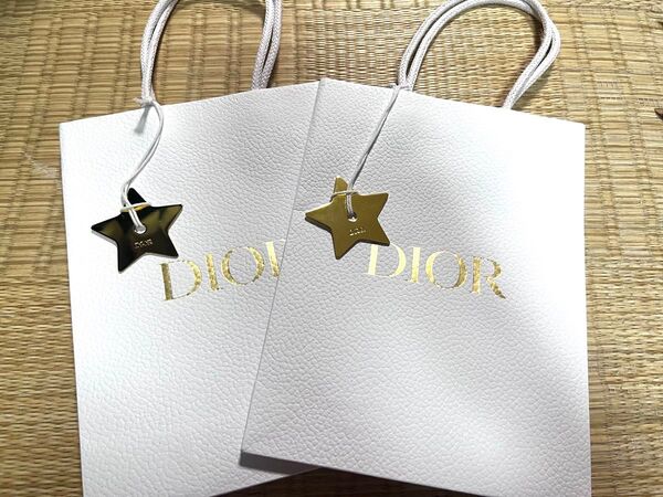 美品 クリスチャンディオール Dior ディオール 正規店 ペーパークッション ラッピング 紙袋ショッパー ギフト 2点 星付き