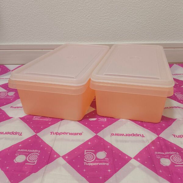 タッパーウェア SSセット(大)(2個)すのこ無【冷蔵・冷凍】Tupperware