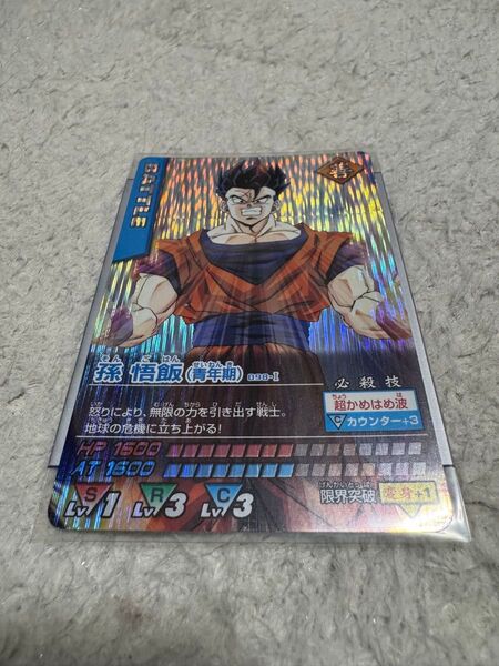 ドラゴンボール データカードダス 孫悟飯