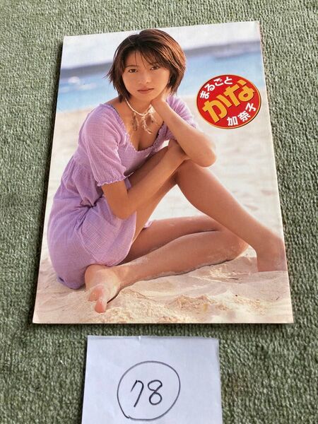 榎本加奈子 写真集 まるごと加奈子