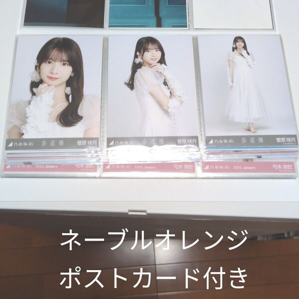 乃木坂46 菅原咲月 生写真 歩道橋 白衣装 3種フルコンプ・ネーブルオレンジ ポストカード