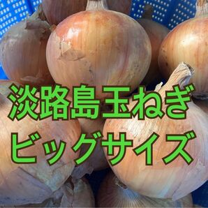 淡路島玉ねぎ 大玉(3L×12個) 7kg