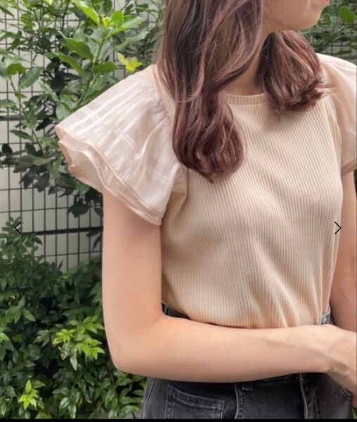 マジェスティックレゴン Tシャツ トップス リブ ベージュ フリル ガーリー 半袖 夏 M
