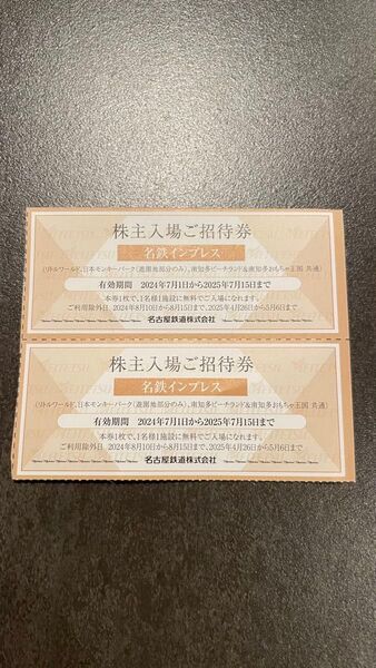 南知多ビーチランド リトルワールド 日本モンキーパーク 入場券2枚