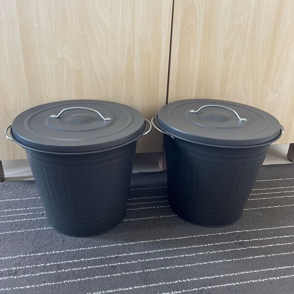 IKEA イケア KNODD ゴミ箱 容器 缶 ダスト 16L 2個