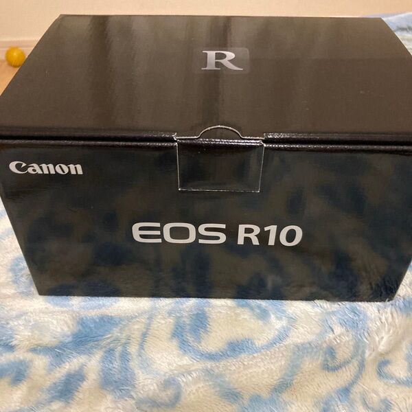EOS R10 ボディのみ 電源2個・保証書付き EOS Canonキヤノン