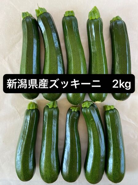 新潟県産 ズッキーニ 2kg