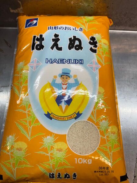 はえぬき 10kg 山形県産