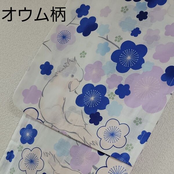 新品 夏日記 オウム柄 鳥柄 浴衣 変わり織り ブランド浴衣 青い梅 小鳥 浴衣単品 鳥好き