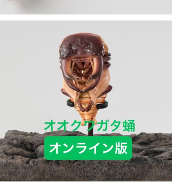 【オンライン版】 オオクワガタ蛹(羽化直前カラー) いきもの大図鑑 くわがた10