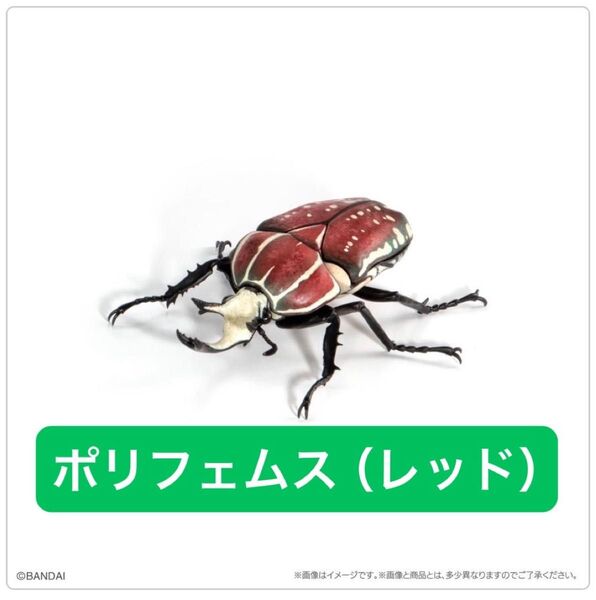オンライン版 ポリフェムスオオツノカナブン(レッド)単品 いきもの大図鑑 かぶとむし08