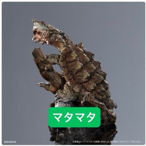 マタマタ いきもの大図鑑 ミニコレクション カメ01