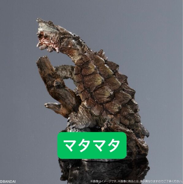 マタマタ いきもの大図鑑 ミニコレクション カメ01
