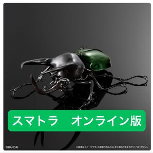オンライン版 コーカサスオオカブト(スマトラ) いきもの大図鑑アドバンス コーカサスオオカブトディスプレイスタンドセット