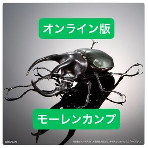 オンライン版 モーレンカンプオオカブト いきもの大図鑑アドバンス コーカサスオオカブトディスプレイスタンドセット