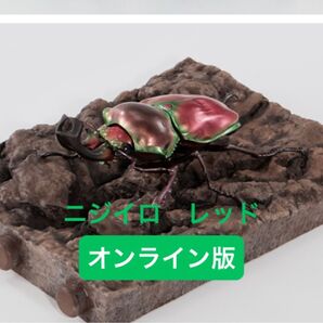 【オンライン版】 ニジイロクワガタ(レッド) いきもの大図鑑 くわがた10