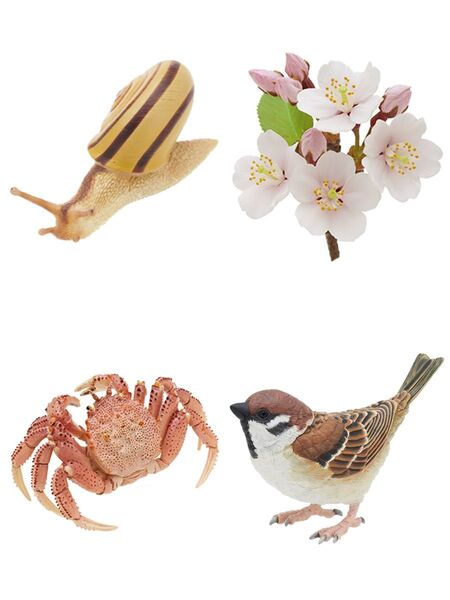 【匿名配送】Nature of Japan 日本のいきもの3 4種セット