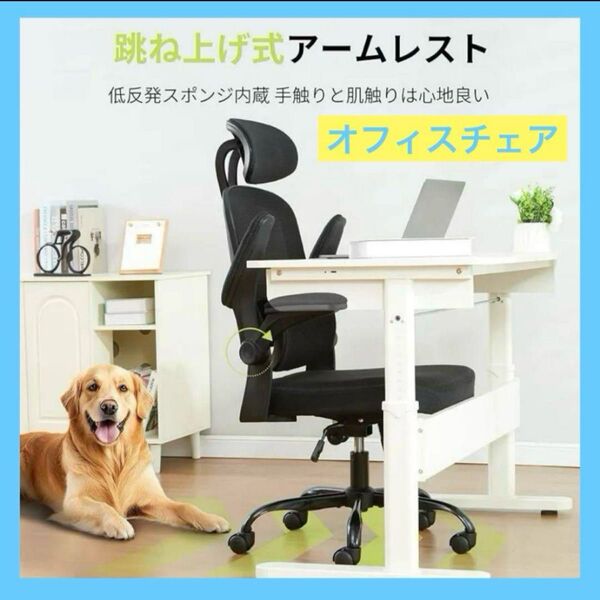 オフィスチェア 椅子 デスクチェア 人間工学 チェア テレワーク ブラック 通気