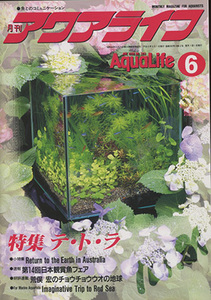 # aqua life 1996 year 6 month number ( special collection : Tetra ) inspection : platinum green neon 