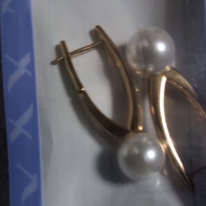 TEMU ピアス