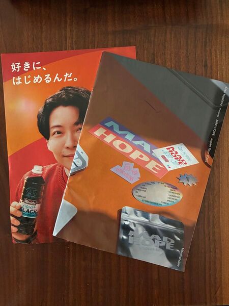 星野源 ライブ リーフレット