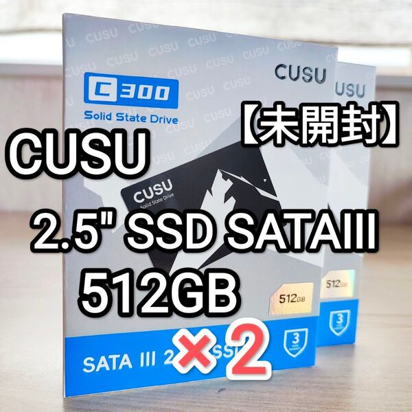 【未開封】CUSU SSD 2.5インチ SATA 512GB C300 2個セット!!
