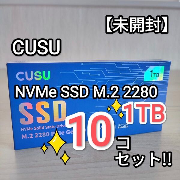 【未開封】CUSU NVMe SSD M.2 PCIe3.0 【1TB】 CV3500Q 【10】個セット!!
