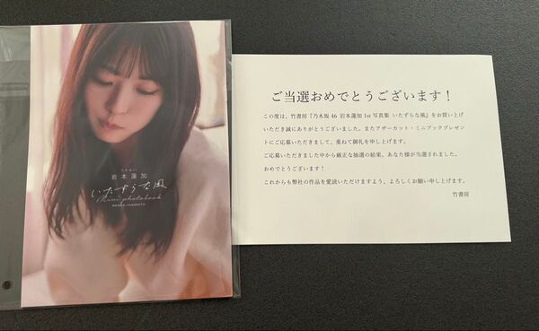 【未開封品】【当選通知付属しません】乃木坂46 岩本蓮加 1st写真集いたずらな風 アザーカット ミニブック