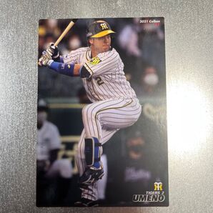 プロ野球カード 阪神選手12枚