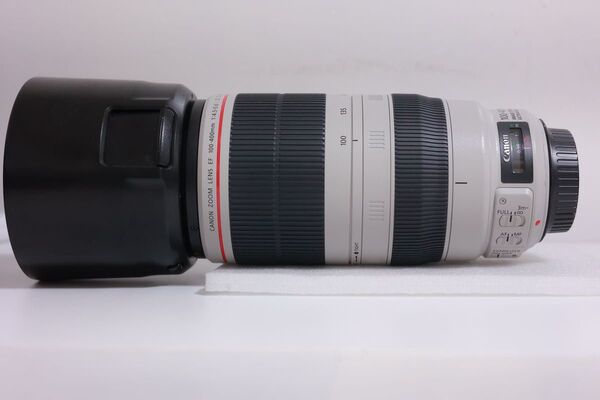 Canon EF 100-400MM F4 -5.6 L II IS USM