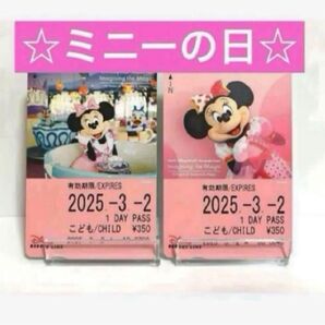ディズニーリゾートライン フリーきっぷ ミニーの日 イマジニングザマジック