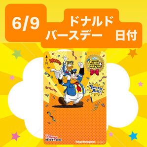 専用☆ ディズニーリゾートライン フリーきっぷ ドナルド 誕生日 バースデー パルパルーザ 子ども用 穴なし コレクション用