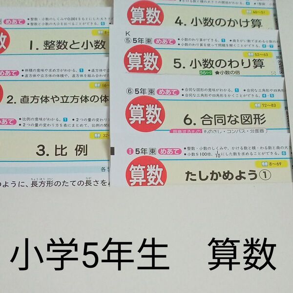 5年生 算数 東京書籍 青葉出版 カラーテスト 1学期 未使用