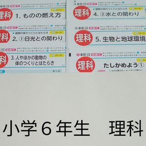 6年生 理科 大日本図書 青葉出版 カラーテスト 1学期 未使用