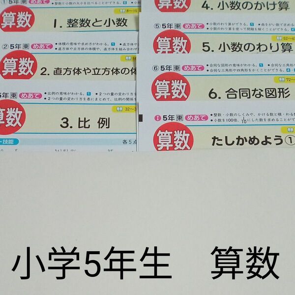 5年生 算数 東京書籍 青葉出版 カラーテスト 1学期 未使用